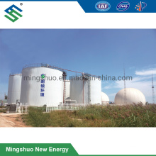 Anaerobic Biofermenter for Biogas Plant Sugar Mill Waste